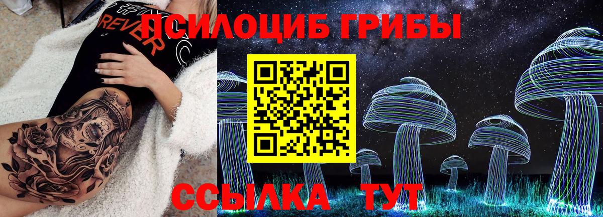 Псилоцибиновые грибы мицелий Северодвинск