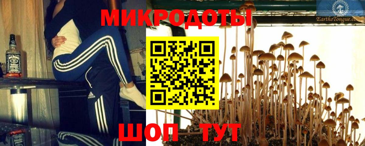 Галлюциногенные грибы MAGIC MUSHROOMS  Галлюциногенные грибы мухоморы  Вход с VPN  Северодвинск 